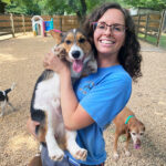Great-Valley-Pet-Hotel-Dog-Boarding-Dog-Daycare-Image-25